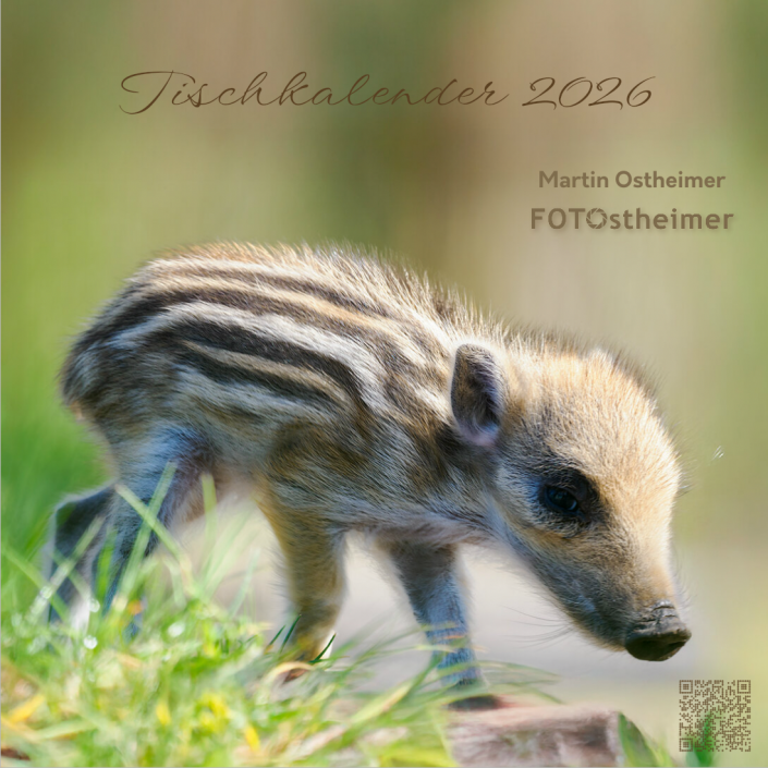 Titelblatt-Tischkalender