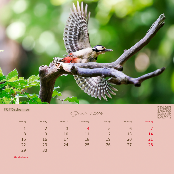 Kalenderblatt-Juni_Tischkalender