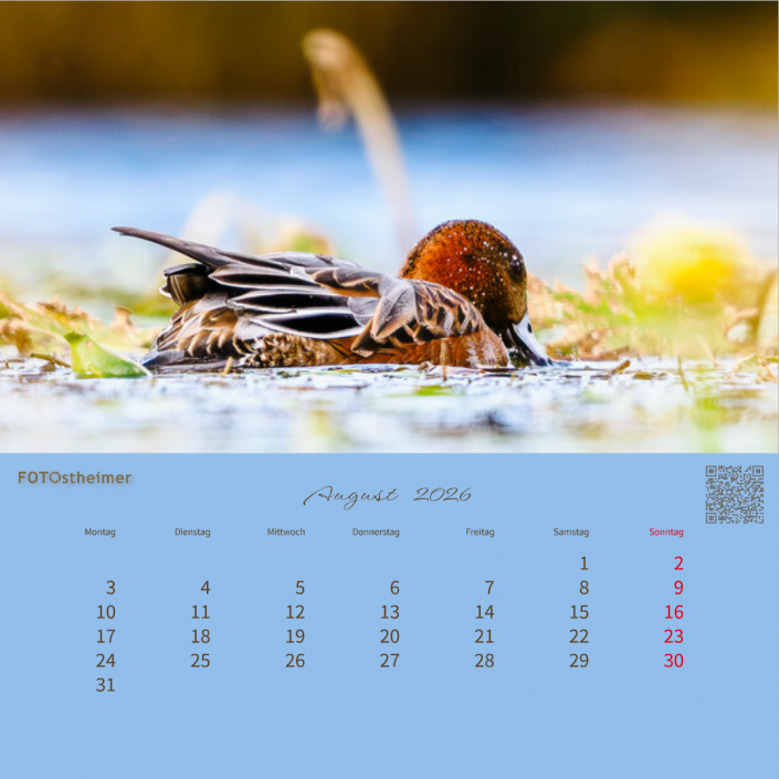 Kalenderblatt-August_Tischkalender